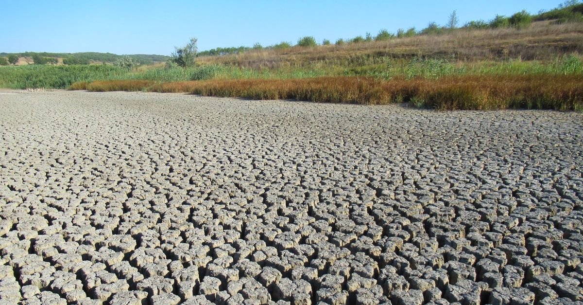 Râurile Europei seacă, perturbând schimburi comerciale în valoare de 80 de miliarde de dolari