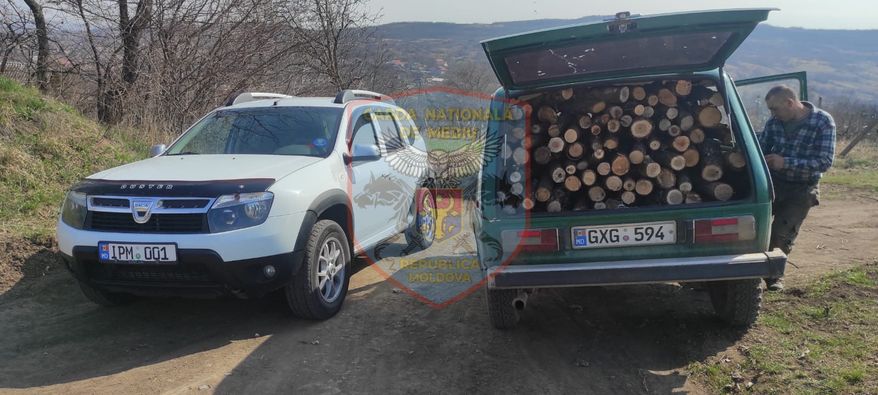 Garda Națională de Mediu a fost din nou în acțiune