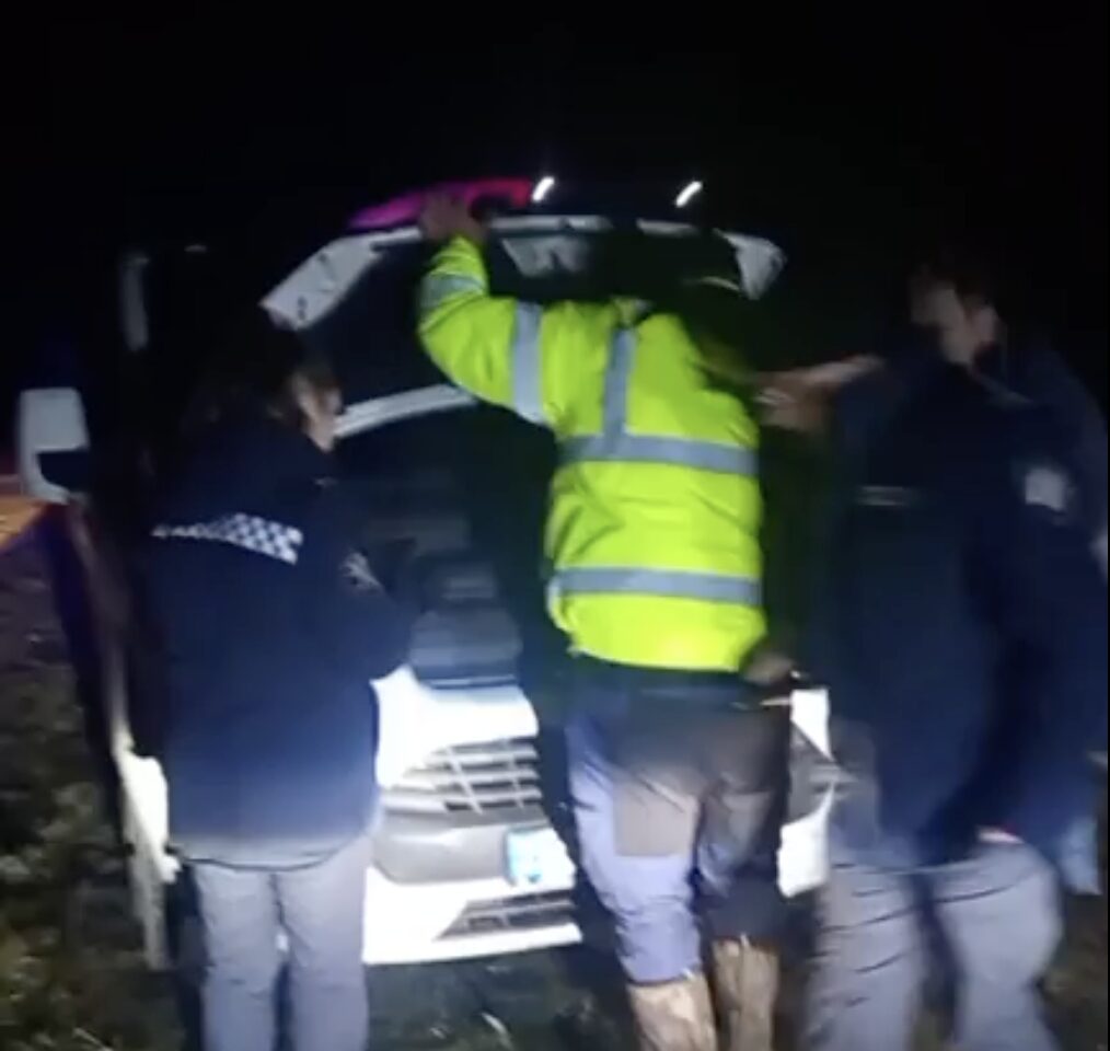 ALARMANT: Voluntarii GNM, sub ploaia de gloanțe în lupta cu „Mafia Pădurii”