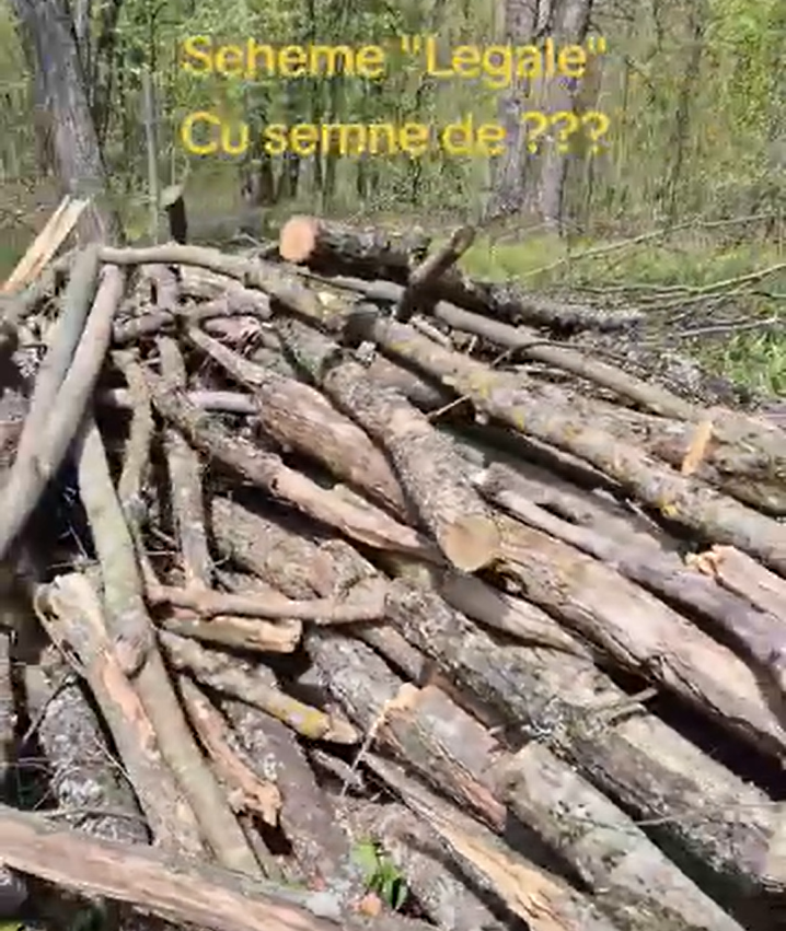 Sesizare privind încălcarea normelor tehnice de exploatare forestieră la Ocolul Silvic Scoreni (Î.S. Strășeni)